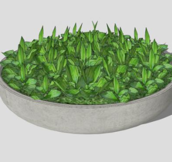 盆栽餐桌布置SU模型下载_sketchup草图大师SKP模型