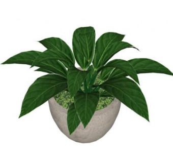 立叶蔓绿绒盆栽SU模型下载_sketchup草图大师SKP模型