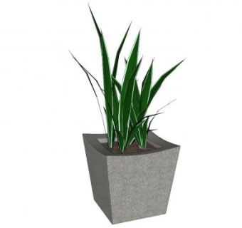 虎尾兰石盆栽SU模型下载_sketchup草图大师SKP模型