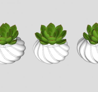 螺旋盆栽多肉植物SU模型下载_sketchup草图大师SKP模型