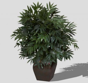 棕竹盆栽SU模型下载_sketchup草图大师SKP模型