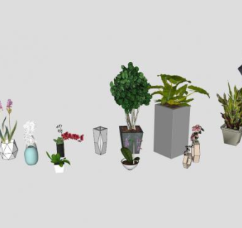 室内盆栽集合SU模型下载_sketchup草图大师SKP模型