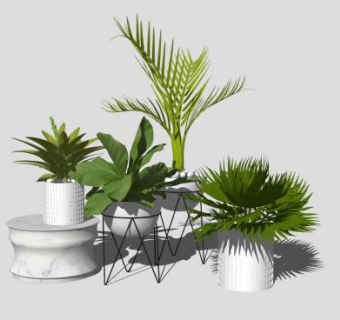 简约花架盆栽SU模型下载_sketchup草图大师SKP模型