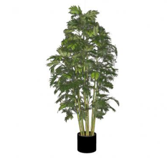 大型棕竹盆栽SU模型下载_sketchup草图大师SKP模型