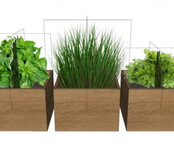 方形木盆栽植物SU模型下载_sketchup草图大师SKP模型