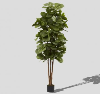 2D无花果树盆景SU模型下载_sketchup草图大师SKP模型