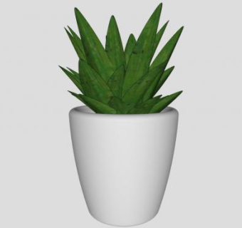 装饰植物花盆SU模型下载_sketchup草图大师SKP模型