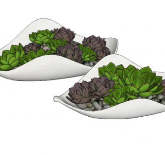多肉盆器SU模型下载_sketchup草图大师SKP模型