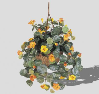 旱金莲吊篮SU模型下载_sketchup草图大师SKP模型