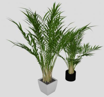 槟榔树盆景装饰SU模型下载_sketchup草图大师SKP模型