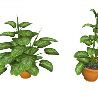 万年青室内盆栽SU模型下载_sketchup草图大师SKP模型