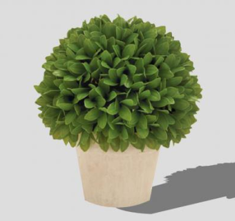 圆形黄杨木盆栽SU模型下载_sketchup草图大师SKP模型