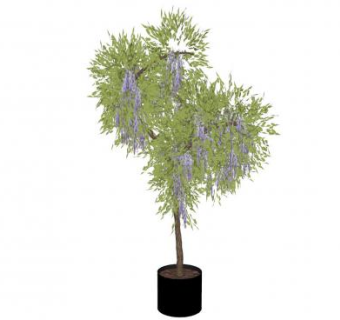 紫藤树盆景SU模型下载_sketchup草图大师SKP模型