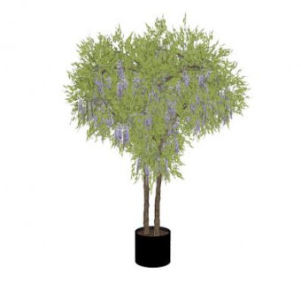 双树干紫藤树盆栽SU模型下载_sketchup草图大师SKP模型