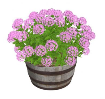 绣球花复古木盆SU模型下载_sketchup草图大师SKP模型