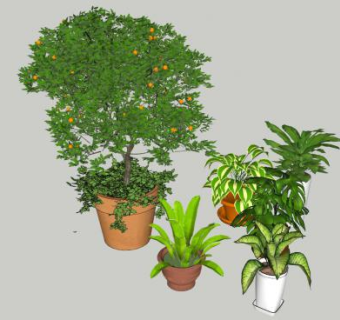 盆景造型SU模型下载_sketchup草图大师SKP模型