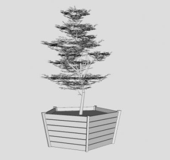五边形橄榄树盆栽SU模型下载_sketchup草图大师SKP模型