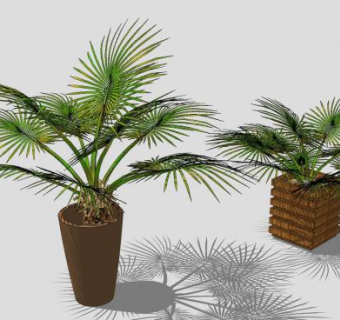 扇形棕榈花盆SU模型下载_sketchup草图大师SKP模型