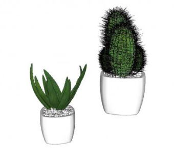 芦荟仙人掌盆栽SU模型下载_sketchup草图大师SKP模型