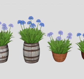 百子莲盆栽装饰SU模型下载_sketchup草图大师SKP模型