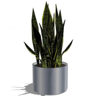 虎尾兰金属盆栽SU模型下载_sketchup草图大师SKP模型