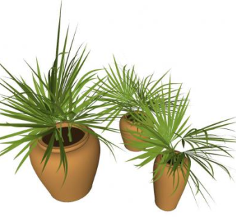 陶瓷盆栽植物sketchup模型下载_sketchup草图大师SKP模型