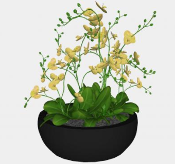 黄色兰花盆栽SU模型下载_sketchup草图大师SKP模型
