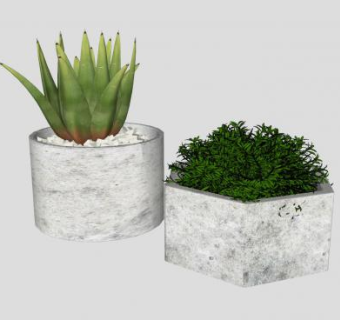 小型石铸盆栽SU模型下载_sketchup草图大师SKP模型