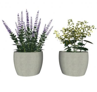 开花灌木石盆景SU模型下载_sketchup草图大师SKP模型