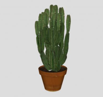 大戟盆栽SU模型下载_sketchup草图大师SKP模型