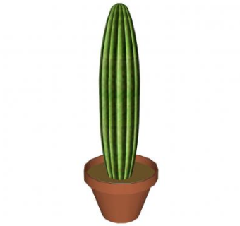 多肉仙人掌盆栽SU模型下载_sketchup草图大师SKP模型