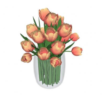 郁金香玻璃花瓶SU模型下载_sketchup草图大师SKP模型
