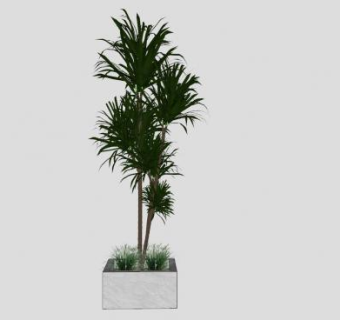 荷兰铁植物花箱SU模型下载_sketchup草图大师SKP模型