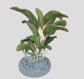 玻璃石子观叶盆栽SU模型下载_sketchup草图大师SKP模型