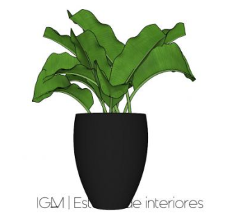 黑色盆栽叶芋植物SU模型下载_sketchup草图大师SKP模型
