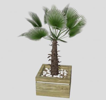 棕榈树花箱盆栽SU模型下载_sketchup草图大师SKP模型