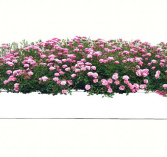 粉花灌木花箱SU模型下载_sketchup草图大师SKP模型