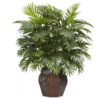 棕榈树陶瓷盆景SU模型下载_sketchup草图大师SKP模型