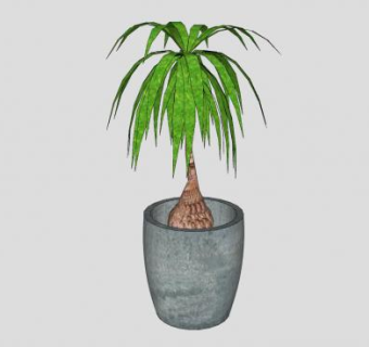 荷兰铁石造盆栽SU模型下载_sketchup草图大师SKP模型