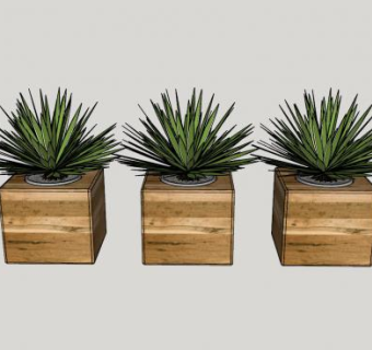 木箱植物SU模型下载_sketchup草图大师SKP模型