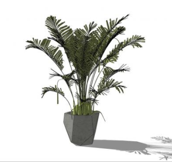 几何盆栽观赏棕榈SU模型下载_sketchup草图大师SKP模型