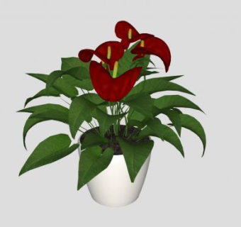 花烛陶瓷盆栽SU模型下载_sketchup草图大师SKP模型