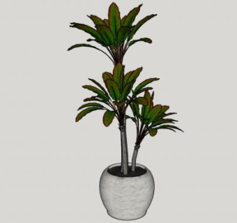 观赏树小型盆景SU模型下载_sketchup草图大师SKP模型