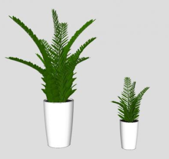 装饰植物盆栽sketchup模型下载_sketchup草图大师SKP模型