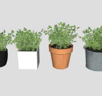 观叶花盆系列SU模型下载_sketchup草图大师SKP模型