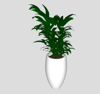 白陶瓷盆栽植物SU模型下载_sketchup草图大师SKP模型