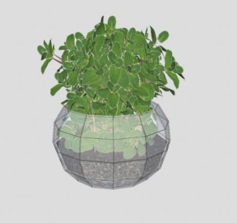 玻璃花盆植物SU模型下载_sketchup草图大师SKP模型