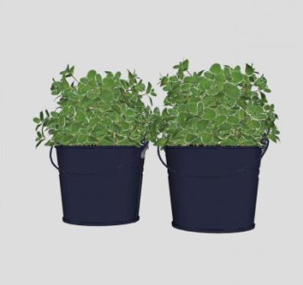 铁艺铁桶盆栽SU模型下载_sketchup草图大师SKP模型