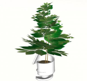 创意植株盆栽SU模型下载_sketchup草图大师SKP模型