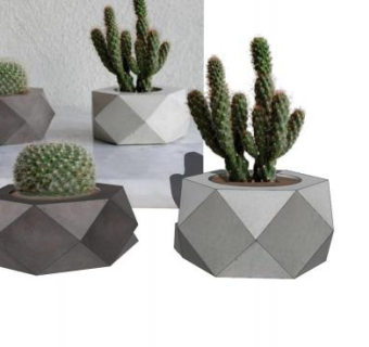 几何盆栽仙人掌SU模型下载_sketchup草图大师SKP模型